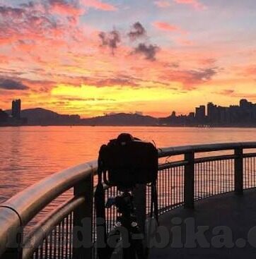 糖心app特色-糖心App，独一无二的社交新体验